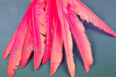 Декоративный Пучок из перьев, перо 25см/розовый - купить в Йошкар-Оле. Цена: 14.40 руб.