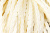 Тесьма декоративная "Шнур-косичка" - купить в Йошкар-Оле. Цена: 2.31 руб.