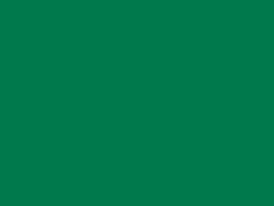 70 см № 258 св. зеленый молнии спираль - купить в Йошкар-Оле. Цена: 14.58 руб.