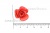 Украшение "Розы малые №1" 20мм - купить в Йошкар-Оле. Цена: 32.82 руб.