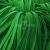 Шнур 15мм плоский (100+/-1м) №16 зеленый - купить в Йошкар-Оле. Цена: 10.32 руб.