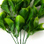 Трава искусственная -1, шт (эвкалипт лист 32 см/8 см)				 - купить в Йошкар-Оле. Цена: 169.93 руб.
