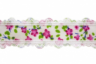 Тесьма декоративная 0385-6170, шир. 25 мм/уп. 22,8+/-1 м, цвет 02-розовый - купить в Йошкар-Оле. Цена: 364.70 руб.