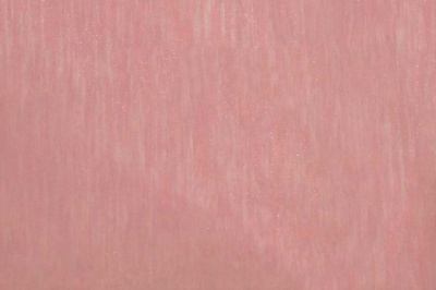 Органза однотонная "Амелия" С19 (Розовый) 280 см - купить в Йошкар-Оле. Цена 303.09 руб.