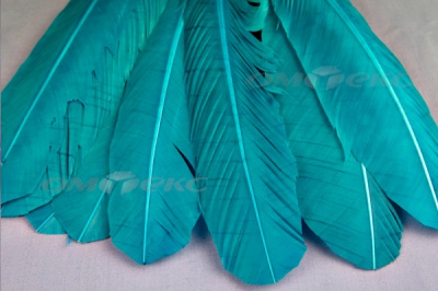 Декоративный Пучок из перьев, перо 24см/голубой - купить в Йошкар-Оле. Цена: 12.19 руб.