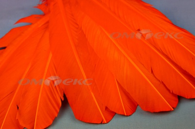 Декоративный Пучок из перьев, перо 24см/оранжевый - купить в Йошкар-Оле. Цена: 12.19 руб.