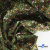 Ткань костюмная «Микровельвет велюровый принт», 220 г/м2, 97% полиэстр, 3% спандекс, ш. 150См Цв  #9 - купить в Йошкар-Оле. Цена 439.76 руб.