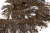 008-коричневый, Бахрома арт.001 шир.10см (упак.12+/-0,5м) - купить в Йошкар-Оле. Цена: 1 017.33 руб.