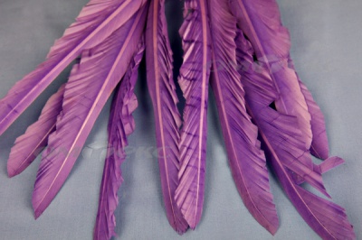 Декоративный Пучок из перьев, перо 25см/фиолетовый - купить в Йошкар-Оле. Цена: 12.19 руб.