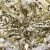 Трикотажное полотно, Сетка с пайетками, шир.130 см, #315, цв.-белый/золото - купить в Йошкар-Оле. Цена 693.39 руб.