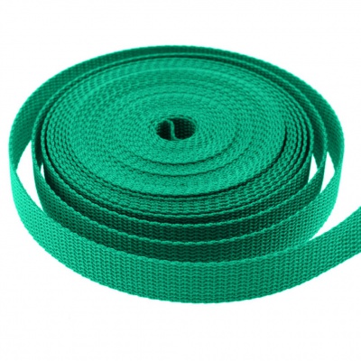 Стропа текстильная, шир. 25 мм (в нам. 50+/-1 ярд), цвет яр.зелёный - купить в Йошкар-Оле. Цена: 397.52 руб.