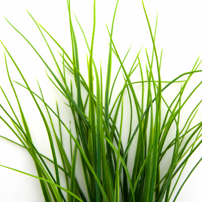 Трава искусственная -3, шт (осока 50 см/8 см  5 листов)				 - купить в Йошкар-Оле. Цена: 124.17 руб.