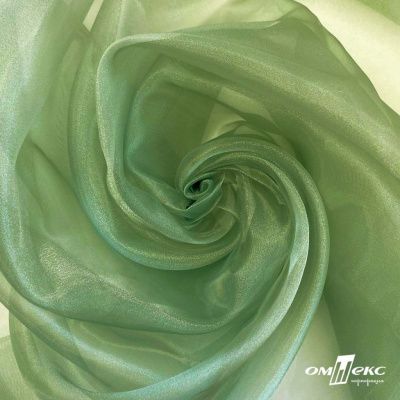 Ткань органза, 100% полиэстр, 28г/м2, шир. 150 см, цв. #27 зеленый - купить в Йошкар-Оле. Цена 86.24 руб.